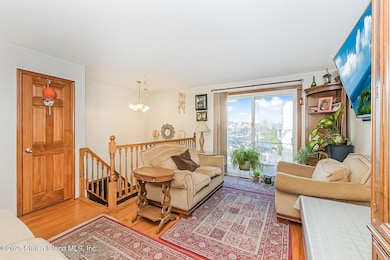 Photo Nov 13 2025, 3 17 49 AM