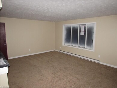 528 Cove Beach Ave, Sheffield Lake, OH 44054 - photo 5