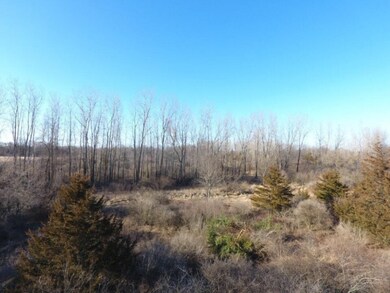 TBD E Main St, Maple Rapids, MI 48853 - photo 7