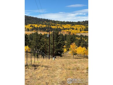 2841 Singletree Rd, Hartsel, CO 80449 - photo 4