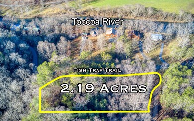 LT 41 Fish Trap Point, Mineral Bluff, GA 30559 - photo 3