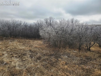 0 Thacker Rd unit 8608664, Colorado City, CO - photo 3