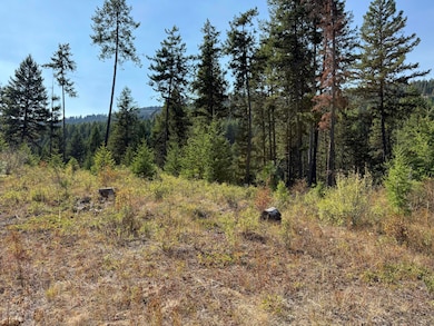 TBD Saint Peters Creek Rd, Malo, WA 99150 - photo 4