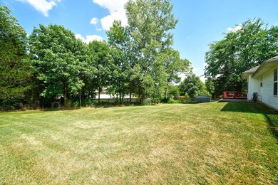 Back Yard 1