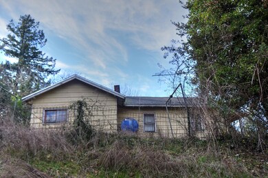 East Side Yard
