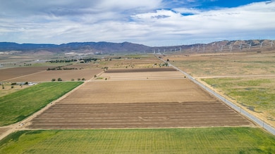 DJI_0075