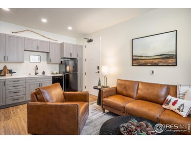 2121 Hummingbird Way unit 3-201, Georgetown, CO 80444 - photo 4