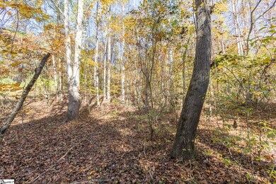 0 Fishers Cove Rd, Fair Play, SC 29643 - photo 3