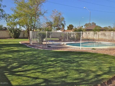 Backyard2