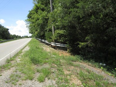 2.20 ac Buck Mountain Rd, Cookeville, TN 38506 - photo 3