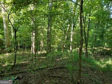 0 Goolsby Rd unit 10614178, Monticello, GA 31064 - photo 7