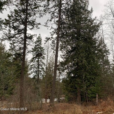 NNA F12 S Idaho Club Dr, Sandpoint, ID 83864 - photo 4