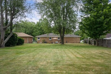 Backyard 5