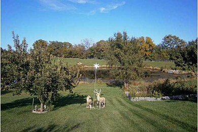 Yard/Garden.