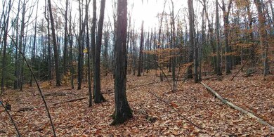 lot 93-1 Wallace unit 93-1, Goffstown, NH 03045 - photo 4