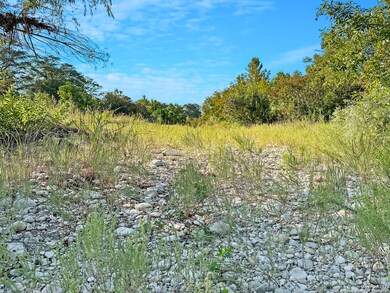 2230 River Rd, San Marcos, TX 78666 - photo 6