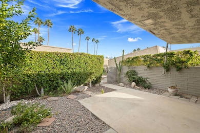 6-web-or-mls-8M4A0034