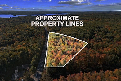 8_DJI_20241008090946_0513_D Property Lin