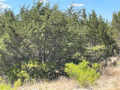 2116 Eagles Ridge Dr, Weatherford, TX 76087 - photo 5