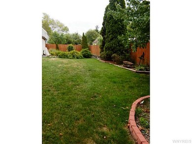 Backyard.