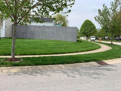 image6