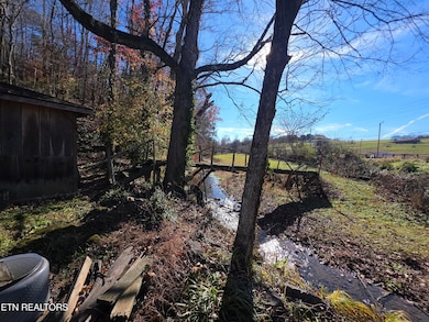 12184 Paw Plains Rd, Lenoir City, TN 37771 - photo 4