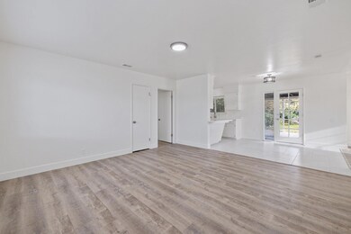 5-web-or-mls-713A8267