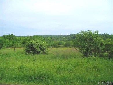 1 Long Grass Ln unit Long Grass Lane, Guilderland, NY 12009 - photo 6
