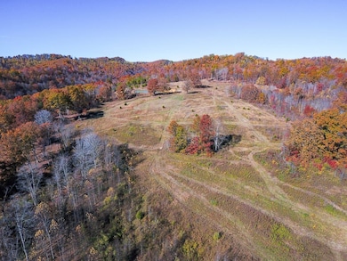 0 Ky 377, Vanceburg, KY 41179 - photo 2
