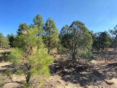 4610 W Hawthorn Rd, Show Low, AZ 85901 - photo 3