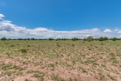 25 Indian Springs Rd unit 2, Ash Fork, AZ 86320 - photo 6