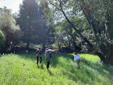 8018 Alvarado Rd, Oakland, CA 94705 - photo 6