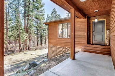 363 Owings Creek Rd, Hamilton, MT 59840 - photo 2