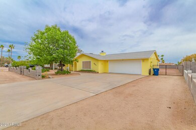 3 - Mesquite