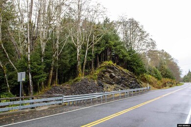 16000 BLK N Tongass Hwy unit Tract F 16000 BLK N, Ketchikan, AK 99901 - photo 5