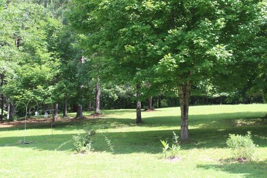 132 Whiskey Hollow Rd, Tennessee Ridge, TN 37178 - photo 3