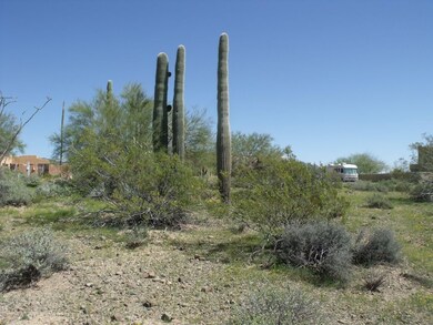 DSCF4962.JPG