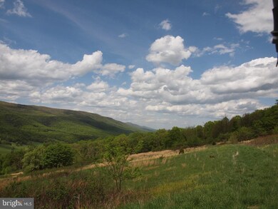 OFF RT. 8 Reeds Creek Rd, Franklin, WV 26807 - photo 5