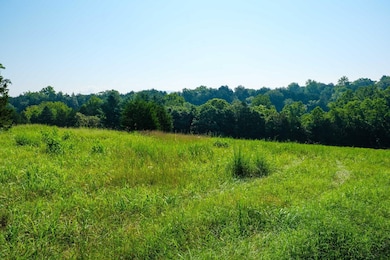 Lot 13 Lazy River Rd E, Luray, VA 22835 - photo 6