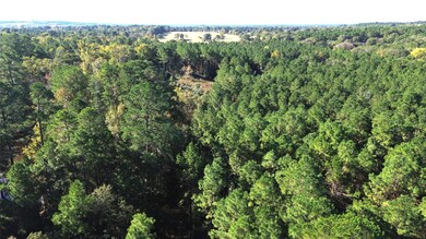 TBD Cr 2265, Grapeland, TX 75844 - photo 5