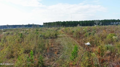 0 Grandview Ln SE, Bogue Chitto, MS 39629 - photo 4