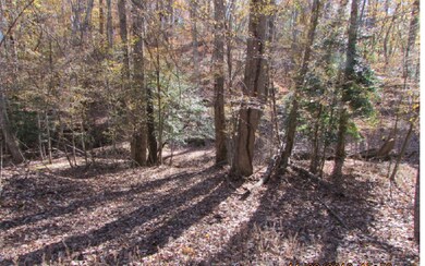 Additional View