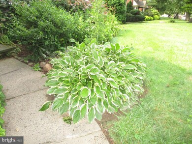 1426 Wynnewood Rd, Ardmore, PA 19003 - photo 5