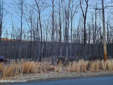 JA 254R Tuscarora Dr, Hazle Township, PA 18202 - photo 2