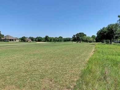 7142 Sandy Oaks Dr, Whitney, TX 76692 - photo 3