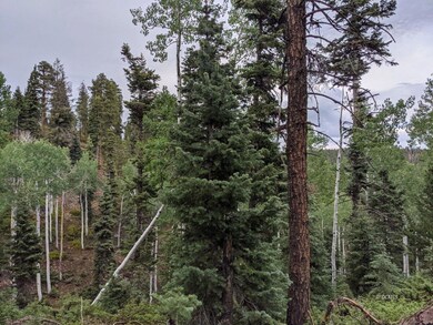 35 S Solitude, Duck Creek Village, UT 84762 - photo 6