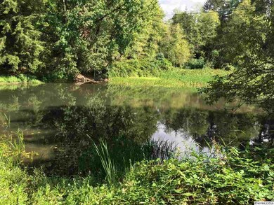 21226 Abiqua Rd NE, Scotts Mills, OR 97375 - photo 6