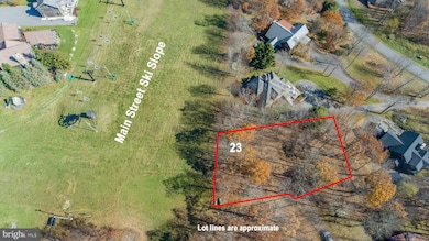 23 Snowshoe Ct, McHenry, MD 21541 - photo 2