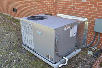 315 Cardinal Rd, Jacksonville, NC 28546 - photo 4