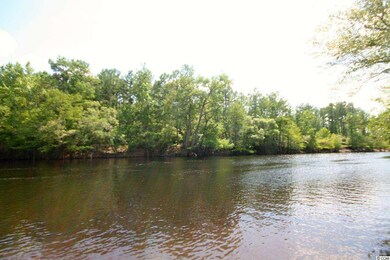 116 Lure Ct unit Homesite 5, Conway, SC 29526 - photo 5